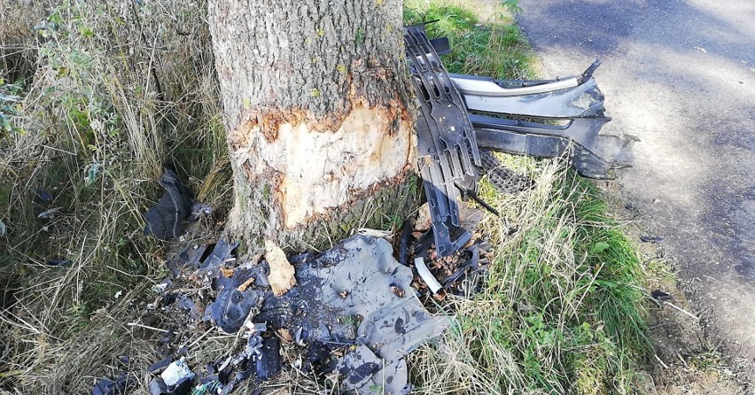 Wypadek na drodze z Łupawy do Darżyna. Kia Sportage zatrzymała się na drzewie [ZDJĘCIA]