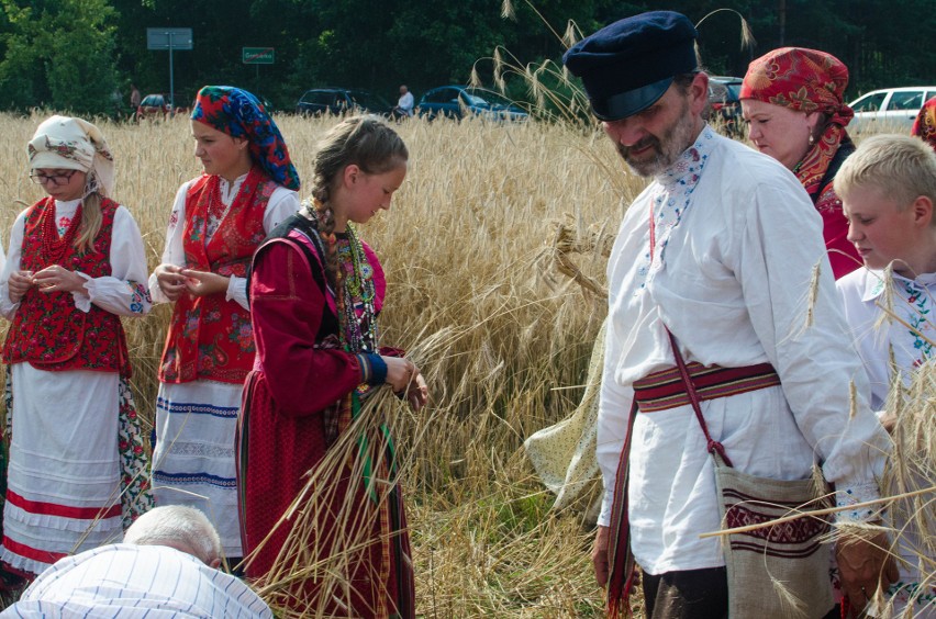 Grabarka Fionika Oleń po boru chodit