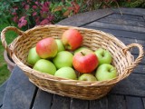 Piknik w stuletnim sadzie! Topolno kusi jabłkami