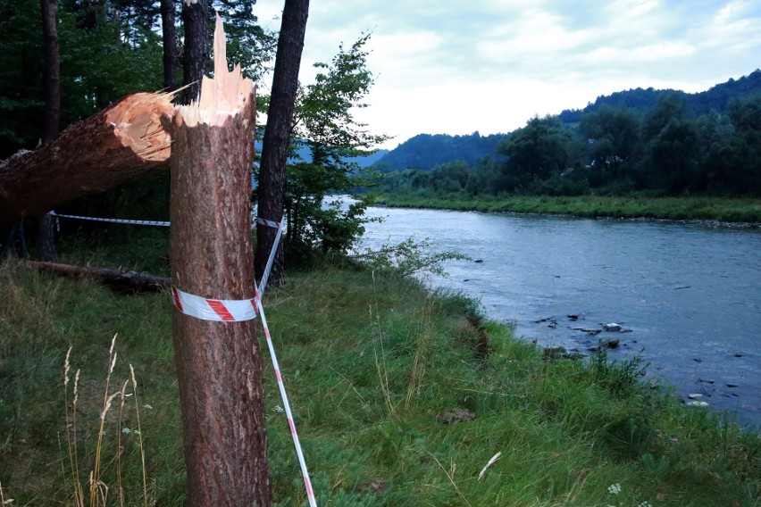 Piwniczna. 40 sekund horroru. Dobę po katakliźmie zniszczony las przeraża [ZDJĘCIA]