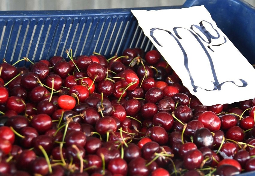 Piękne czereśnie nadal trzymają cenę , choć przez tydzień...