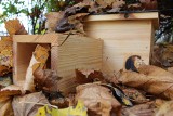 W Radomiu wybudowali domki dla jeży, by kolczaste zwierzaki mogły bezpiecznie przetrwać zimę 