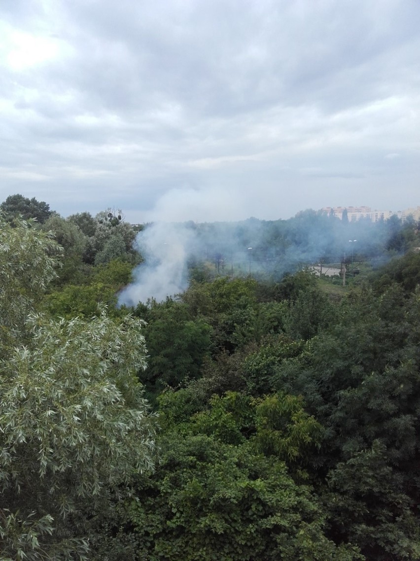 Wrocław: Pożar altanki na działkach przy Gądowiance