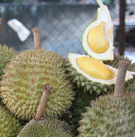 Durian - król owoców