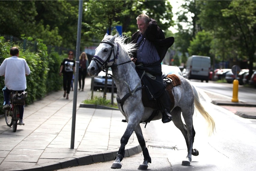 Zdjęcie z maja 2013 r. Jacek Soska zajeżdża na koniu na...