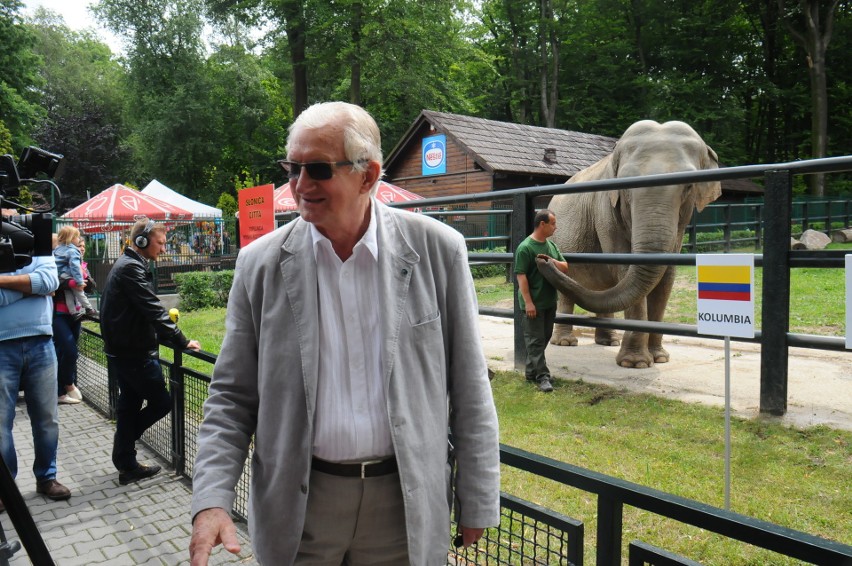 Mundial. Słonica z krakowskiego zoo odbiera złudzenia kibicom biało-czerwonych