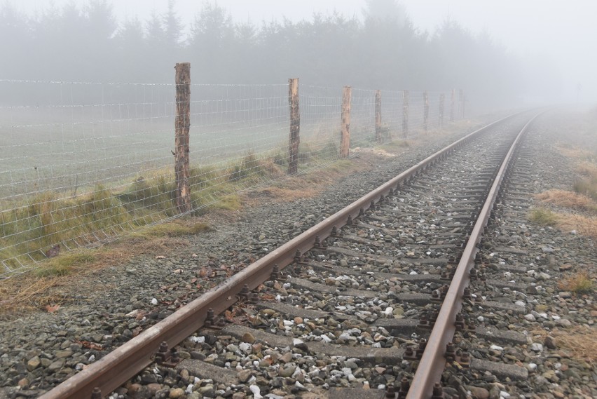 Płot będzie miał aż 41 kilometrów. Powstaje wzdłuż linii...