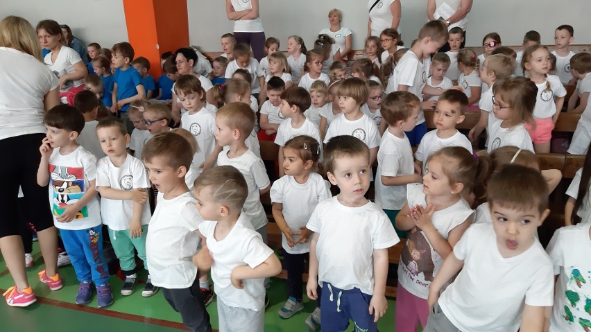 Spartakiada 2019. W Opolu walczyło blisko 300 przedszkolaków. Zobacz zdjęcia 
