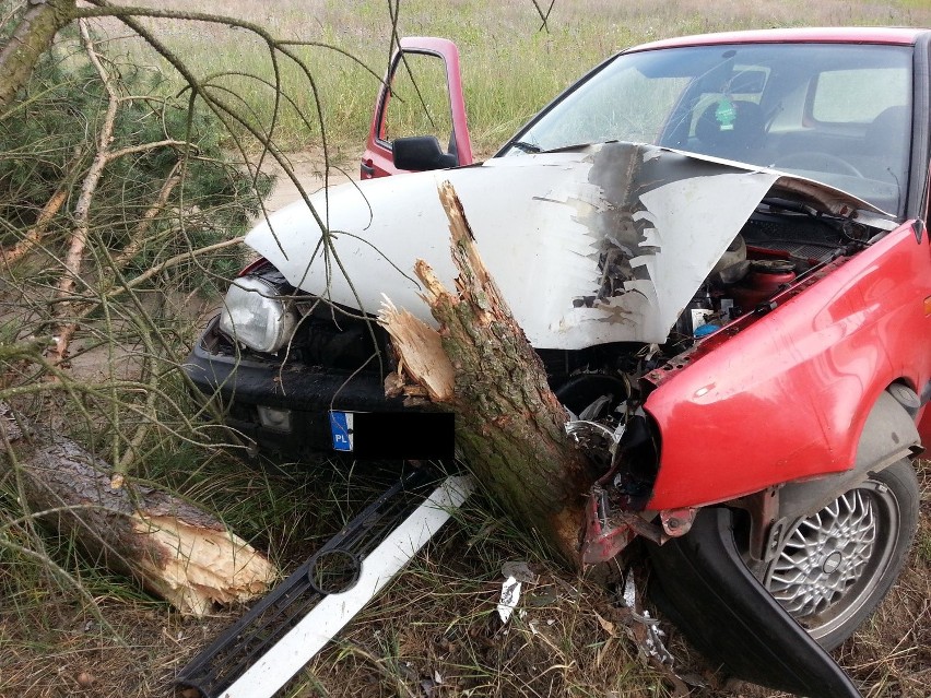Pościg w Golubiu-Dobrzyniu. Nietrzeźwy kierowca uciekał przed policją. Uderzył w drzewo! [zdjęcia]