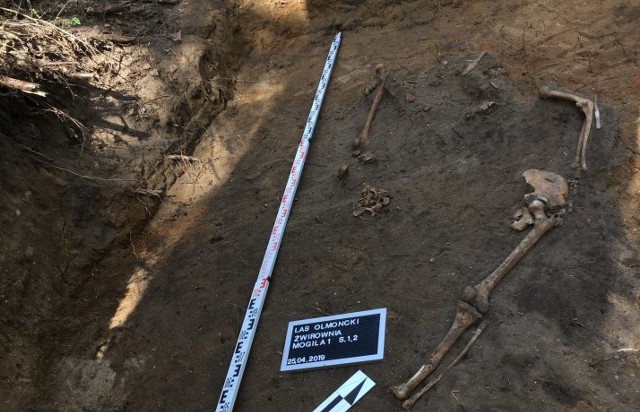 Na terenie lasu znaleziono szczątki czterech osób. Specjaliści z IPN przypuszczają, że należą one do ofiar egzekucji. Teraz zbada je antropolog