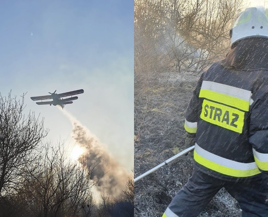 Duży pożar nieużytków w okolicach Krosna Odrzańskiego.