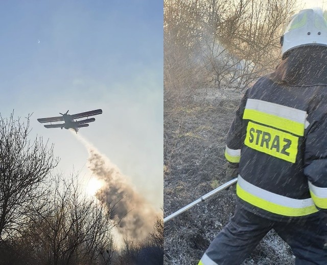 Duży pożar nieużytków w okolicach Krosna Odrzańskiego.