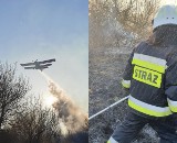 Pożar na terenie byłego poligonu w Krośnie Odrzańskim. Ogień dosięgnął pobliskiego lasu