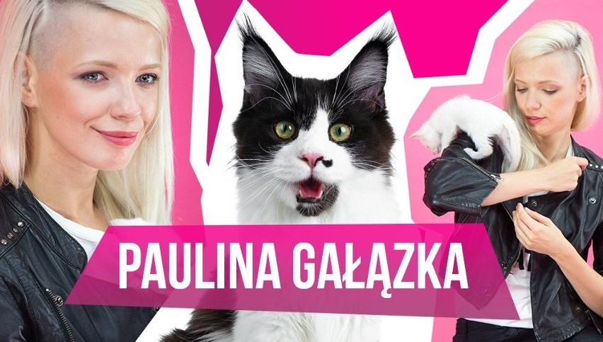 Paulina Gałązka w programie "MiauCzat" ostro o Magdzie Gessler! Czym podpadła jej królowa TVN-u? [WIDEO]