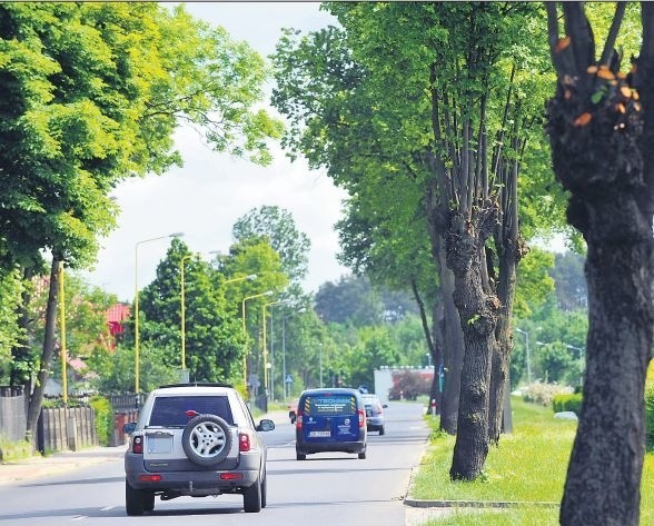 Mieszkańców Sianowa zaniepokoił fakt przycinania drzew w okresie ochronnym dla ptaków. Ja mówią urzędnicy, po tym pielęgnacyjnym "zabiegu&#8221; będzie bezpieczniej na drodze, a to ważne dla kierowców.
