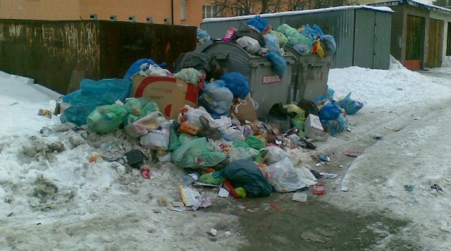 Tak wygląda śmietnik przy ulicy Janickiego. Śmieciarka nie przyjechała tu od prawie miesiąca.