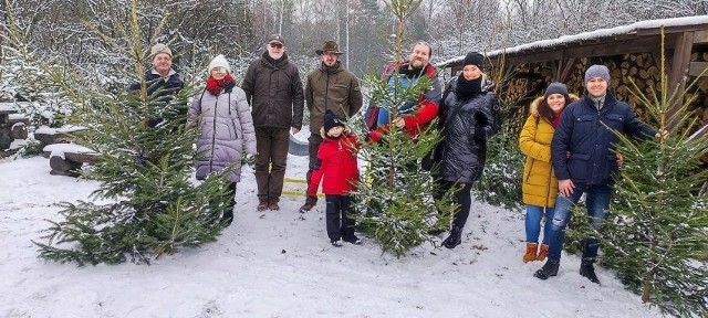 W Będzinie - Grodźcu w ten weekend można wybrać sobie świąteczną choinkę. Czekają też ryby Zobacz kolejne zdjęcia/plansze. Przesuwaj zdjęcia w prawo naciśnij strzałkę lub przycisk NASTĘPNE