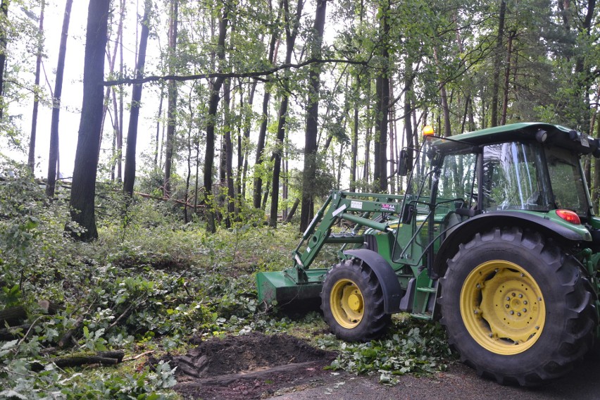 W Kuźni Raciborskiej zakaz wstępu do lasu - klęska zniszczyła tysiące drzew ZDJĘCIA