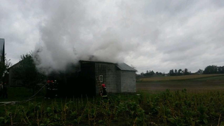 Pożar suszarni na tytoń w Boronicach. Spłonęło około półtorej tony tytoniu