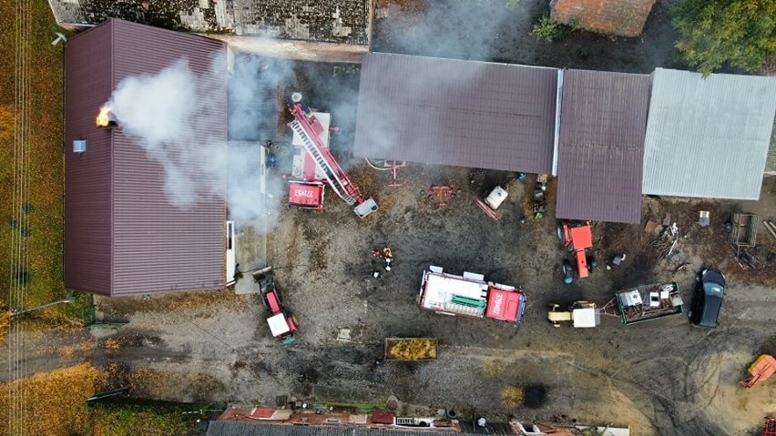 Groźny pożar w Osiecku w gminie Bledzew