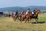 Piknik Jeździecki w Nowy Targu. Byli ułani, kłusaki, konie półkrwi i wyścigi  