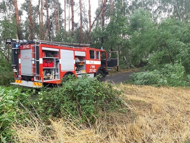 Na drogę prowadzącą z miejscowości Kalwy do Ceradza Dolnego spadły trzy drzewa. Na miejsce został wysłany jeden zastęp strażaków. 