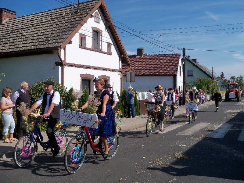 Dziedzice: dozynki gminne.