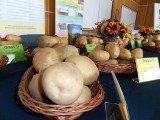 Zakaz importu ziemniaków na Białoruś