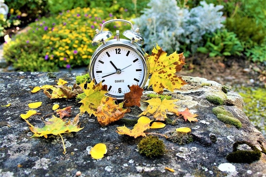 Zmiana czasu 2019. Zima tuż tuż! O której przestawiamy zegarki na czas  zimowy 27.10.2019? Śpimy godzinę dłużej! Czy to ostania zmiana czasu? |  Dziennik Bałtycki
