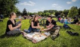 "Śniadania na trawie" w Park Śląskim. Tu można coś zjeść, odpocząć i spotkać ciekawych ludzi