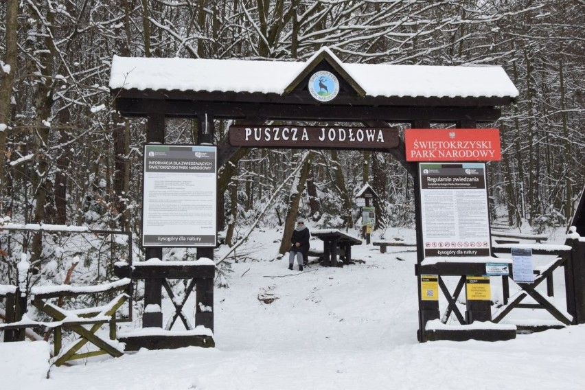 We wtorek, 26 stycznia odwiedziliśmy Puszczę Jodłową....