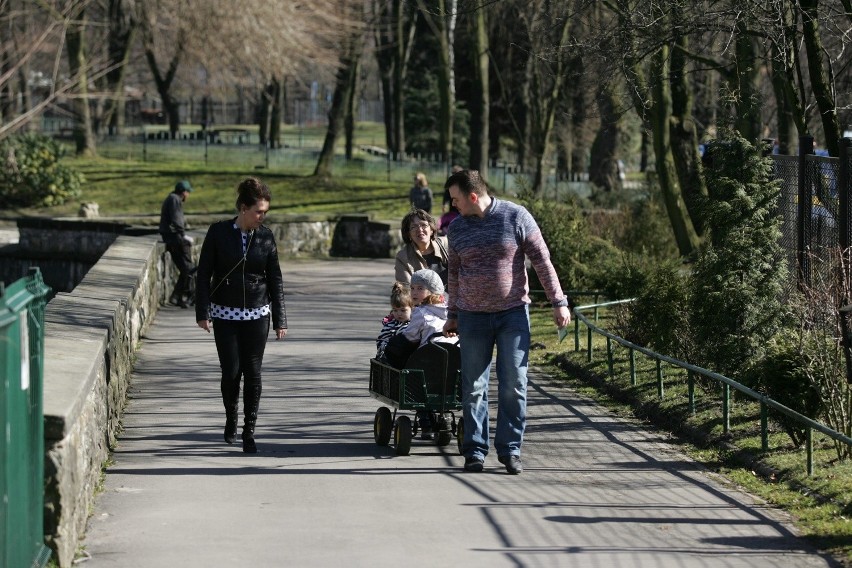 Śląski Ogród Zoologiczny