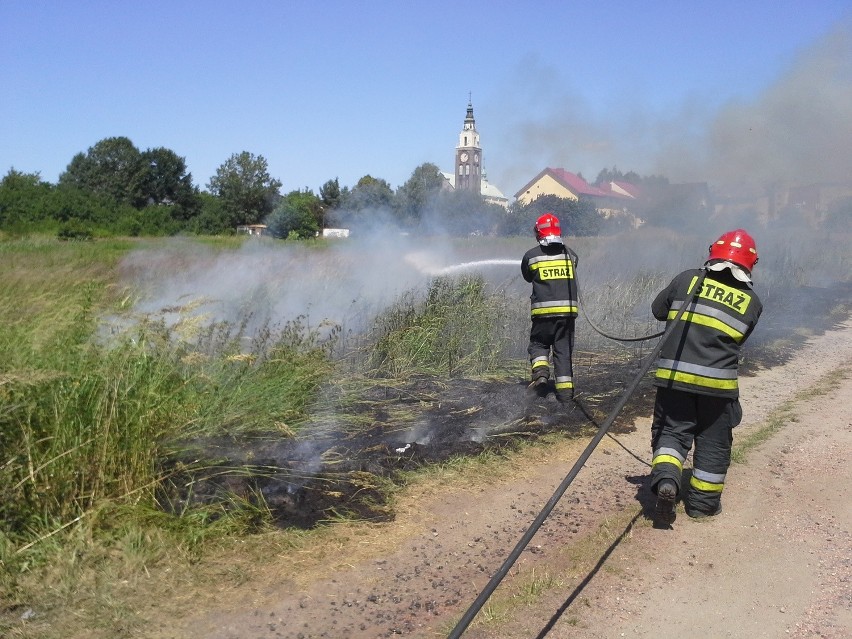 Dwa groźne pożary musieli gasić strażacy z komendy w...