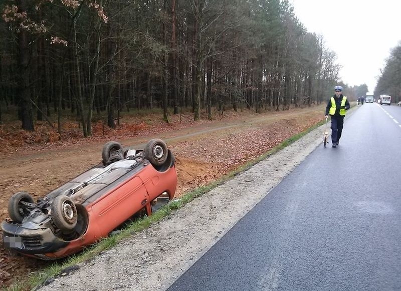 Na drodze wojewódzkiej nr 487 pomiędzy Olesnem a Boroszowem...