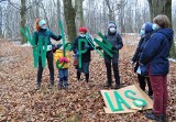 Szansa dla lasu kleszczowskiego. Wycinka wstrzymana, ale mieszkańcy domagają się powstania rezerwatu