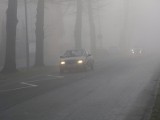 Międzyrzecz: Uwaga na gęstą mgłę!