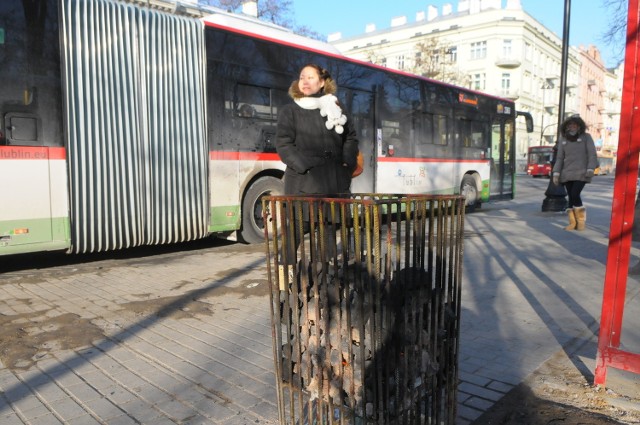 Koksowniki wrócą wraz z mrozami