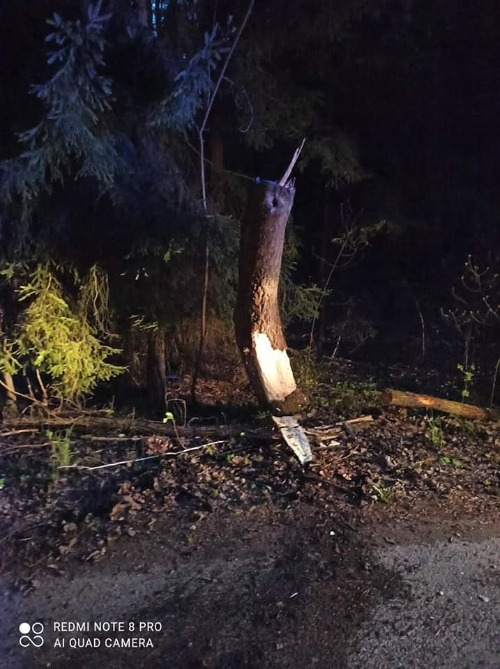 Szymany. Nocny wypadek na drodze leśnej. Volkswagen uderzył w drzewo. Jedna osoba trafiła do szpitala [ZDJĘCIA]