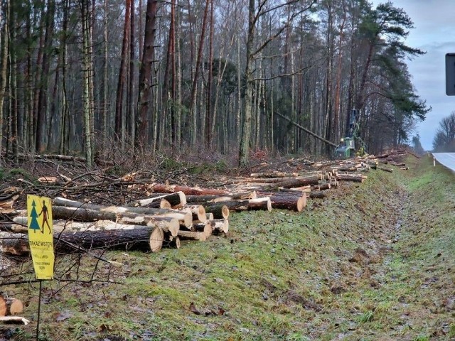 Prace przygotowawcze pod S11 Szczecinek - Bobolice