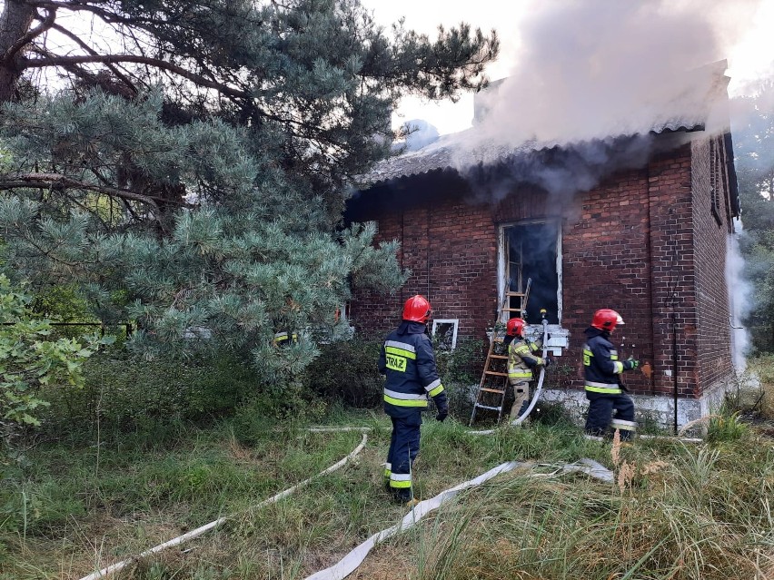 Podczas czwartkowej akcji skarżyskich strażaków