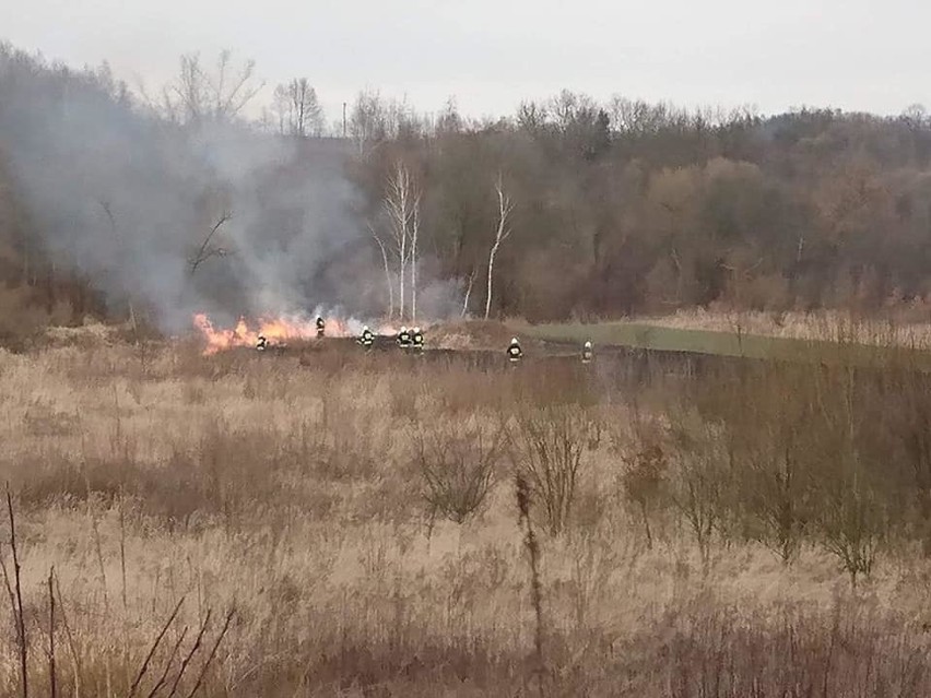 Gmina Sułkowice. Apele nic nie dają, znów płoną trawy