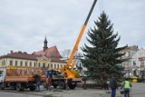 Bochnia. Na bocheńskim Rynku ustawiono świąteczne drzewko