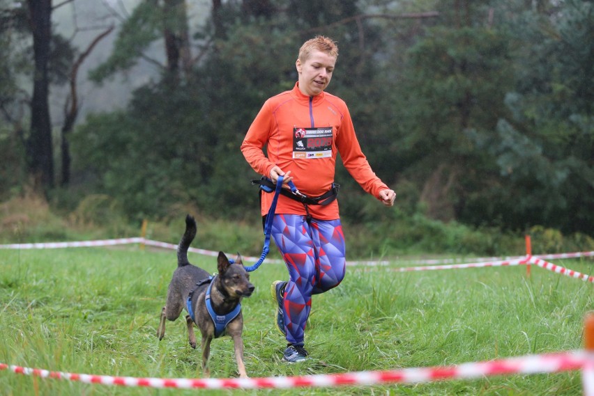 Dąbrowa Górnicza: Hard Dog Race, czyli ekstremalny bieg psów z właścicielami ZDJĘCIA+WIDEO