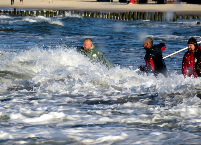 Bursztyn na plaży w Ustce. Zobacz jak zbierać i ile kosztuje [ZDJĘCIA] 