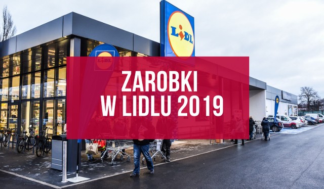 Lidl Polska podał zarobki swoich pracowników. W najnowszym raporcie możemy sprawdzić, ile naprawdę zarabia magazynier, kasjerka czy nowy pracownik Lidla.