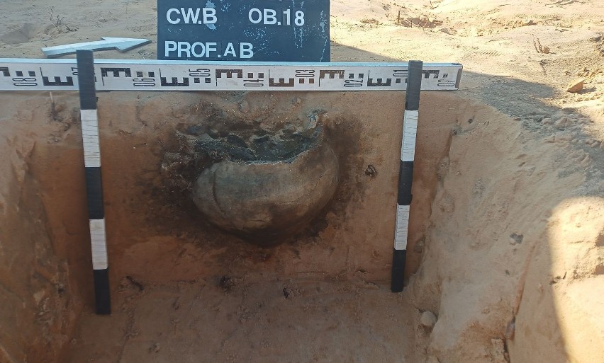 Tajemnica urny sprzed blisko 2 tysięcy lat znalezionej na terenie przyszłej obwodnicy Morawicy. Zobacz zdjęcia z odkrycia