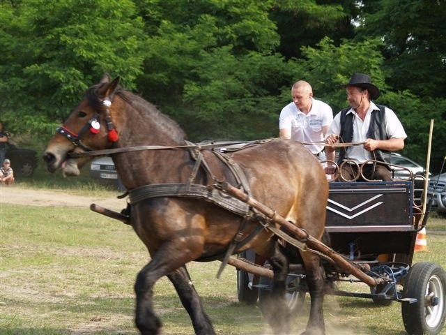 West Point Cup