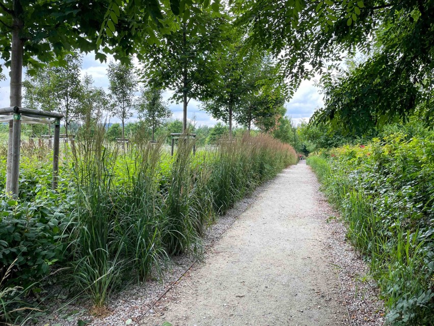 Park Reduta w Prądniku Czerwonym