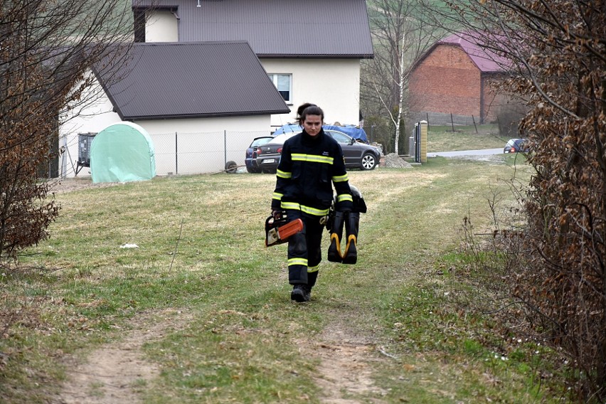 Gorlice. Strażacy z OSP w Moszczenicy po brawurowej akcji uratowali kota Franciszka [ZDJĘCIA]