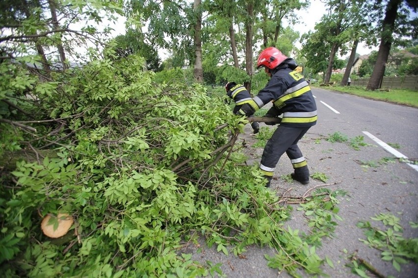 WIĘCEJ ZDJĘĆ ZNISZCZEŃ PO WICHURZE W PSZCZYNIE